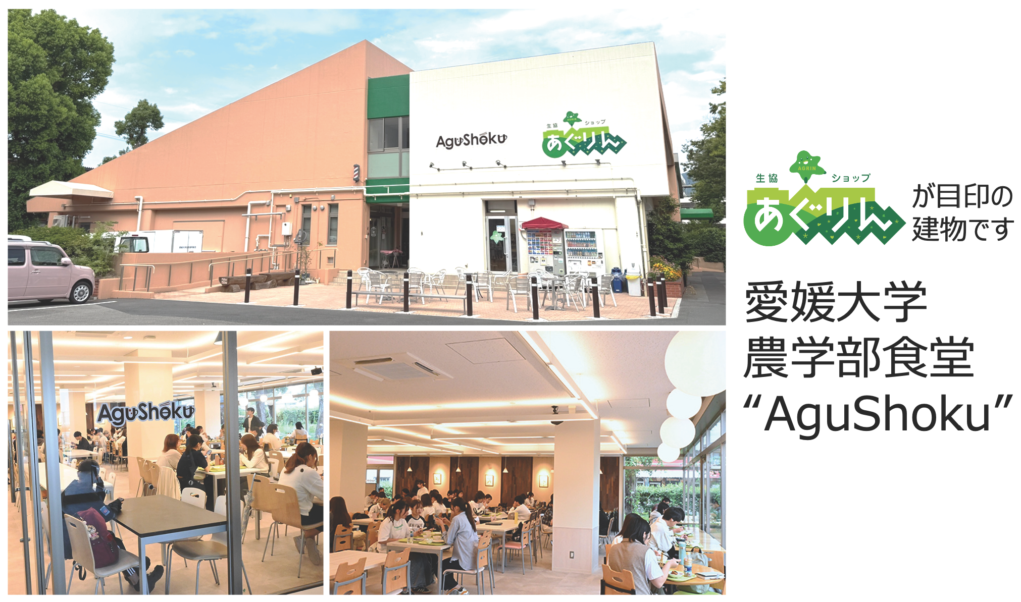農学部食堂 Agushoku