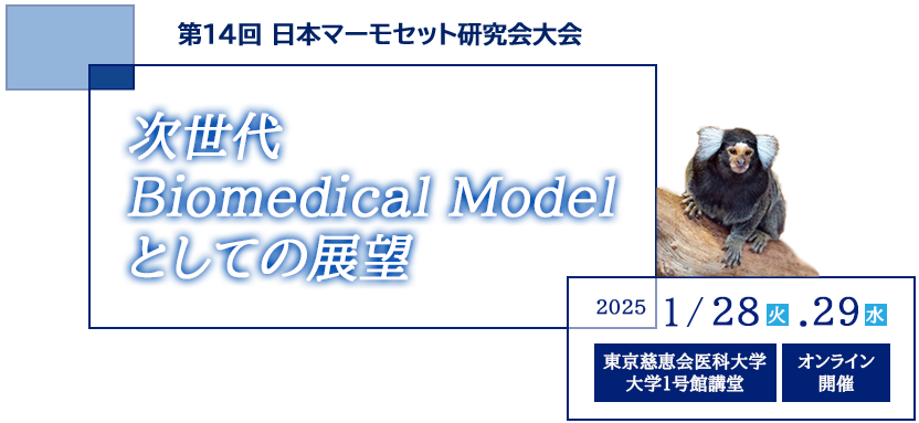 第14回 日本マーモセット研究会大会　～次世代Biomedical Modelとしての展望～　2025年1月28日（火）、29日（水）東京慈恵会医科大学 大学１号館講堂、オンライン開催